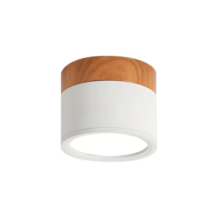 ScandiShine - Minimalist LED Ceiling Light