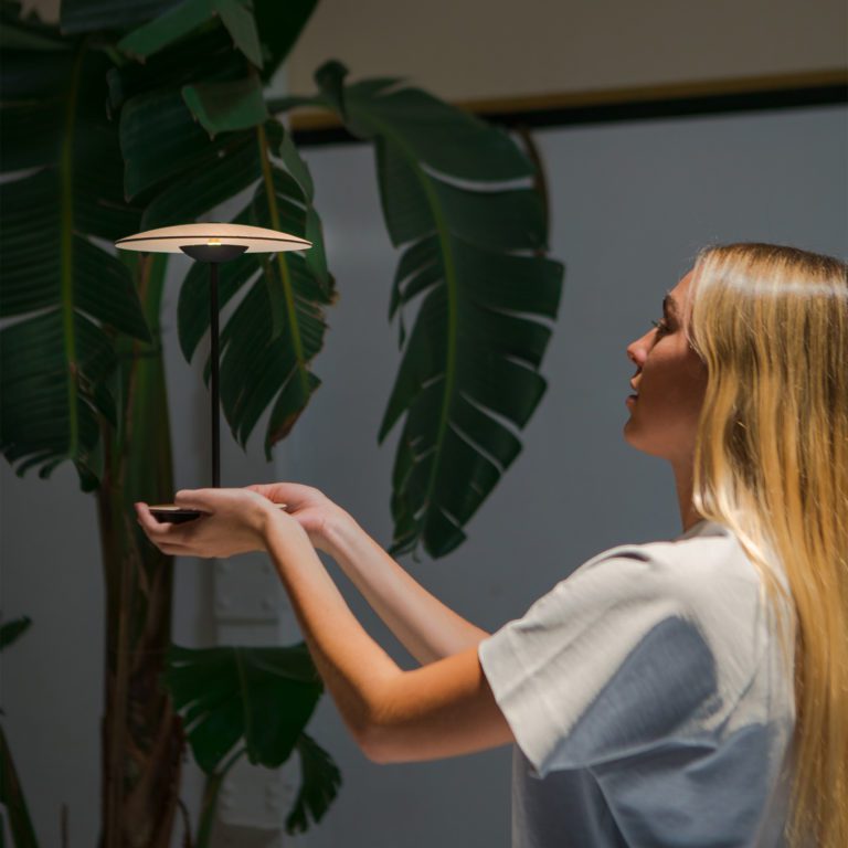 LiteGinger - Elegant Desk Lamp