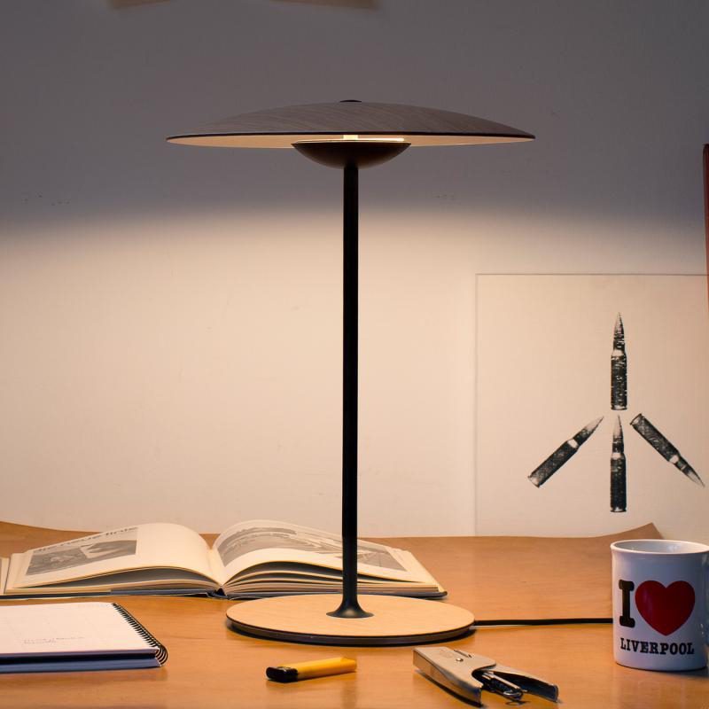 LiteGinger - Elegant Desk Lamp