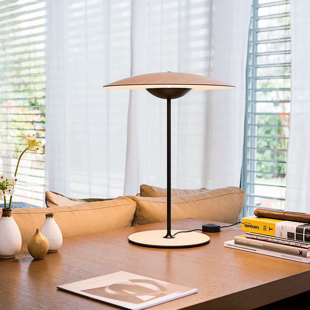 LiteGinger - Elegant Desk Lamp