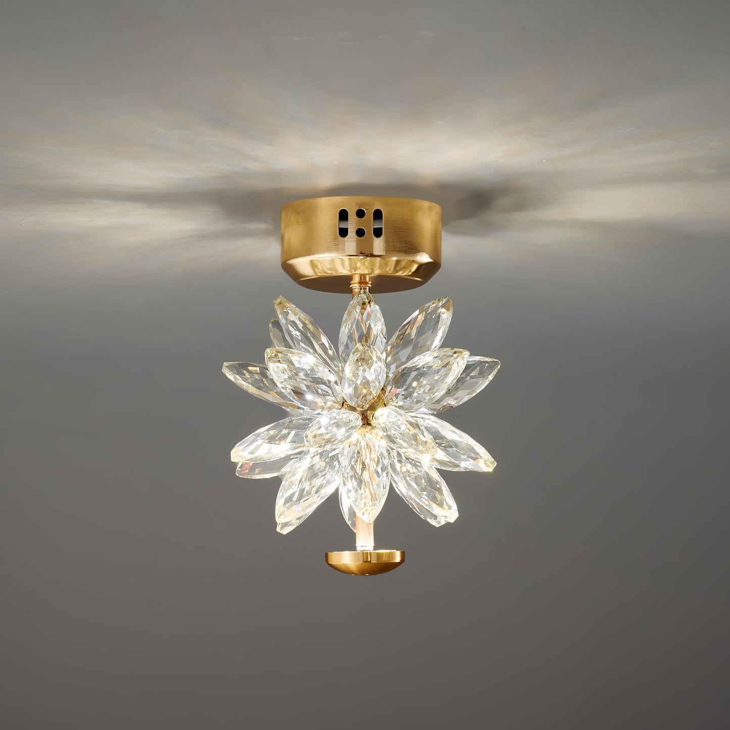 BotanicLuxe - Ceiling Lamp with Floral Theme and Subtle Radiance