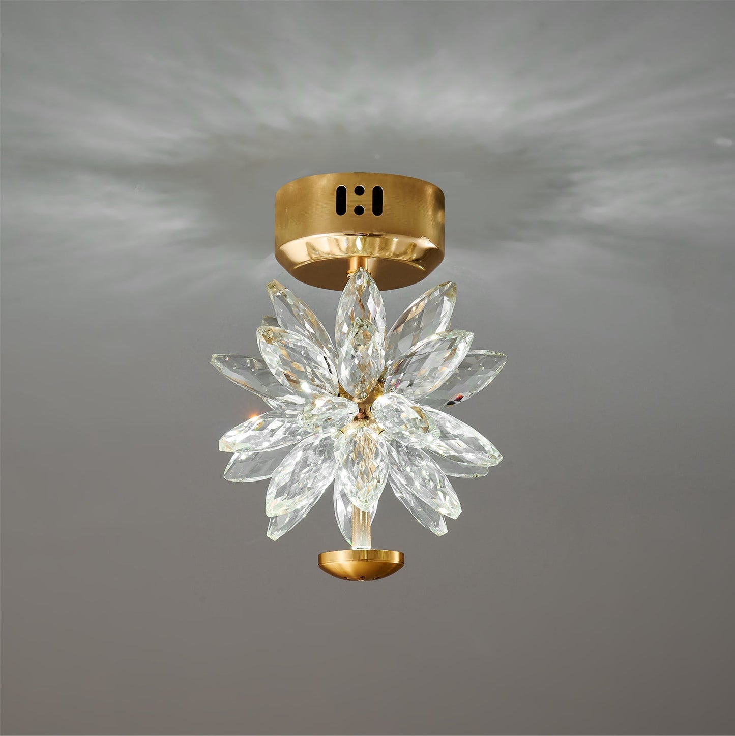 BotanicLuxe - Ceiling Lamp with Floral Theme and Subtle Radiance