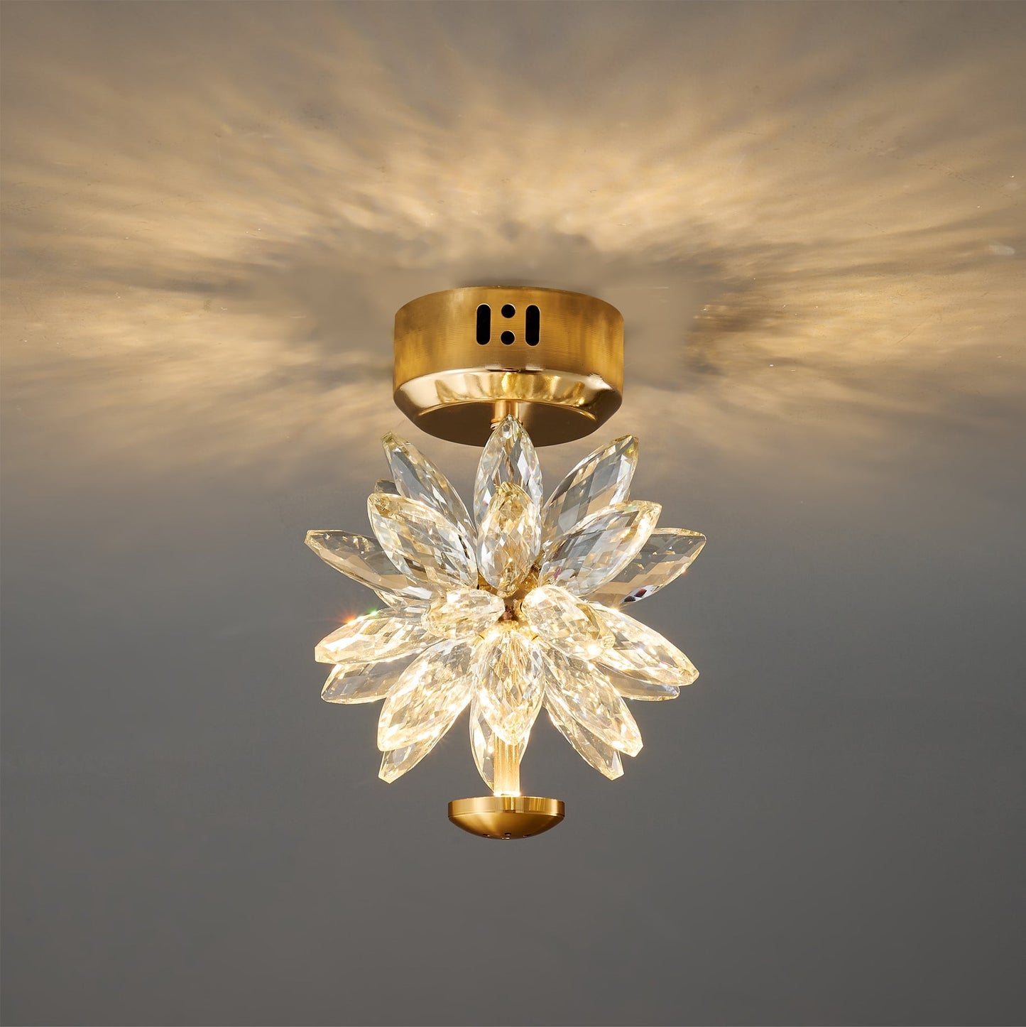 BotanicLuxe - Ceiling Lamp with Floral Theme and Subtle Radiance