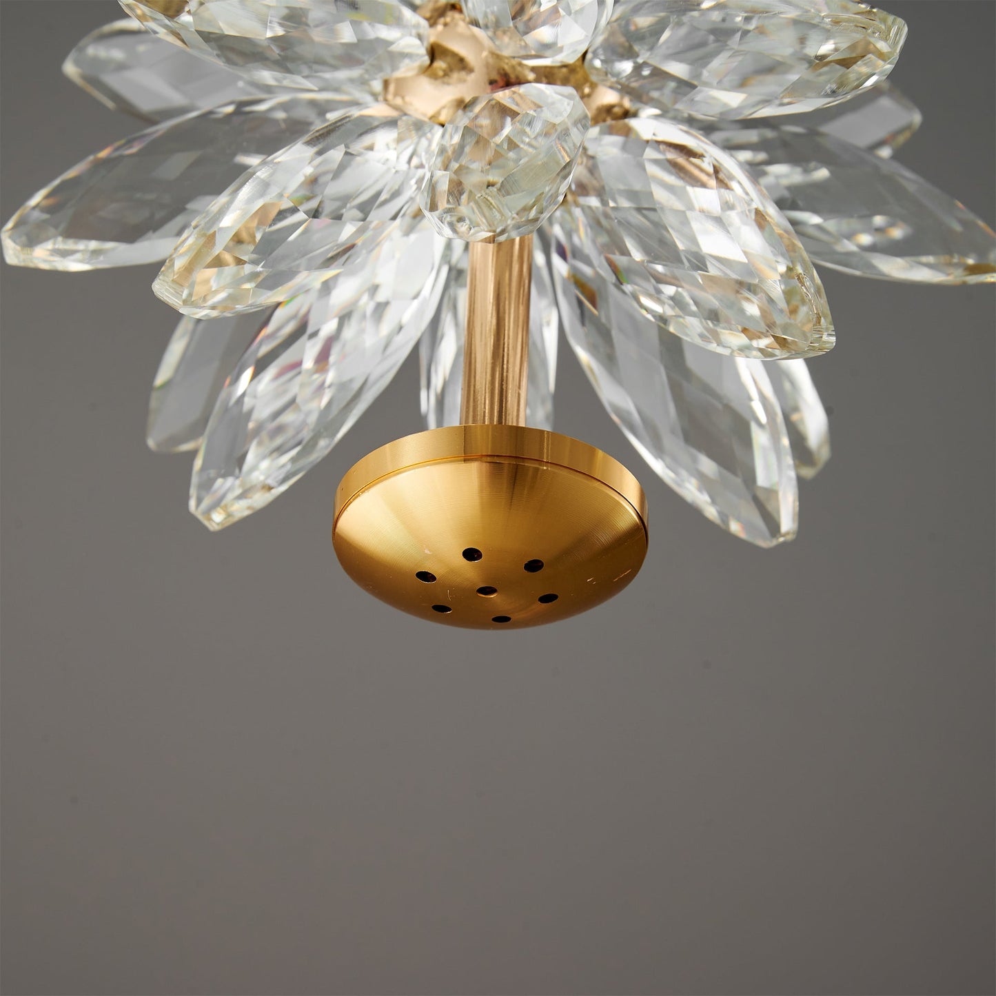 BotanicLuxe - Ceiling Lamp with Floral Theme and Subtle Radiance