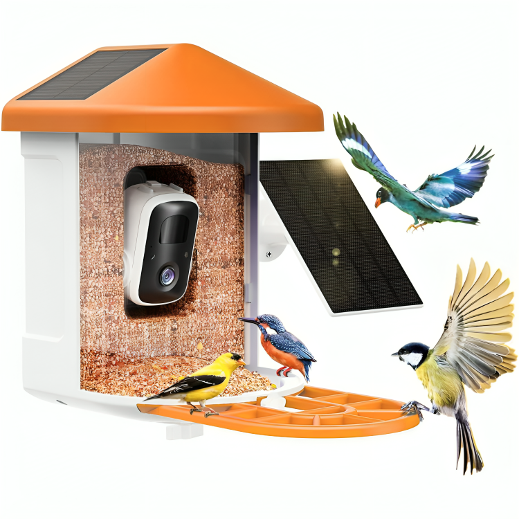 HavenNest | Innovative Smart Birdhouse Camera with AI Technology 2