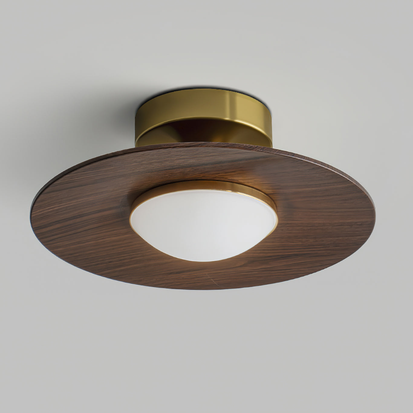 OlavShine - Modern Ceiling Fixture