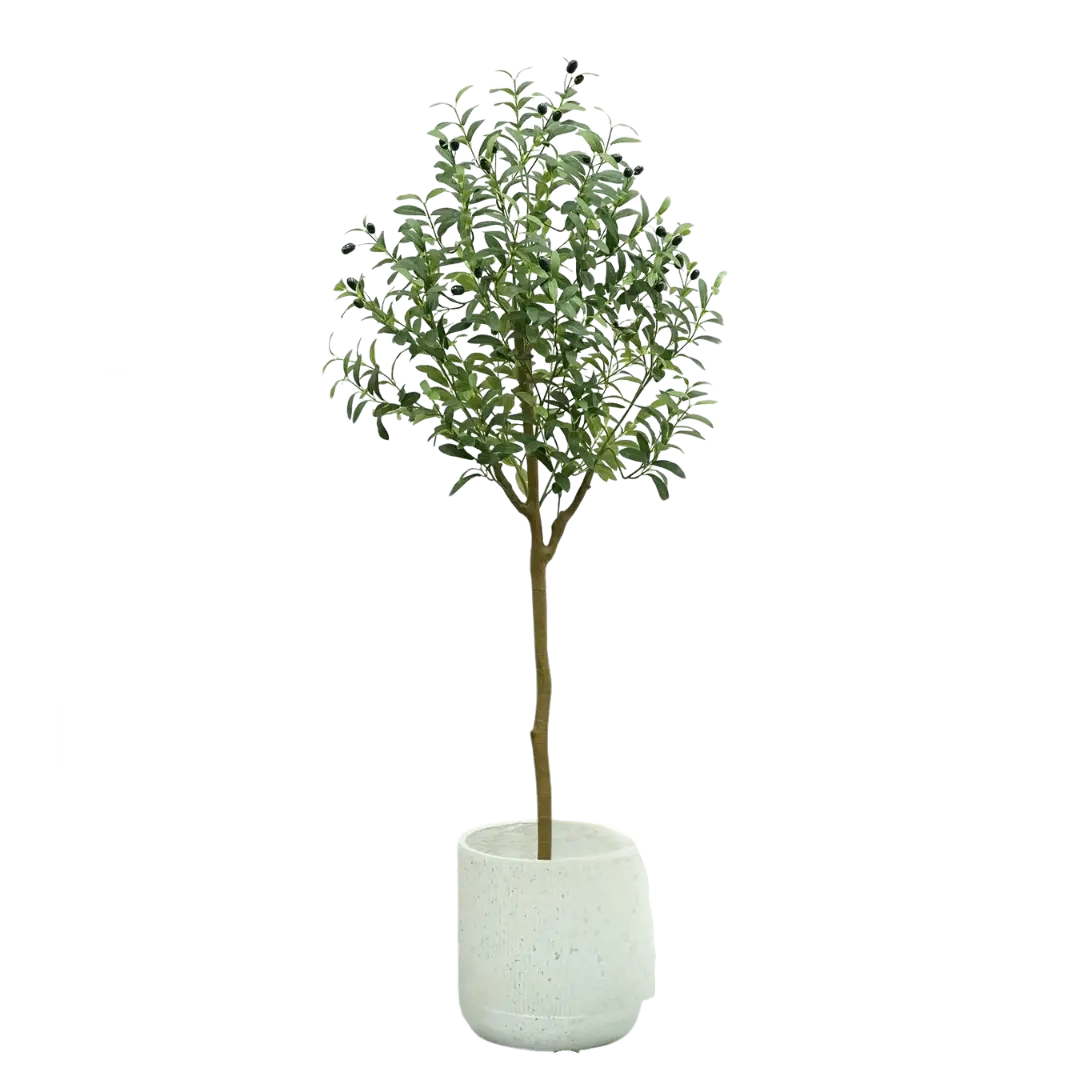OlivaLeaf - Lifelike Olive Tree Decoration