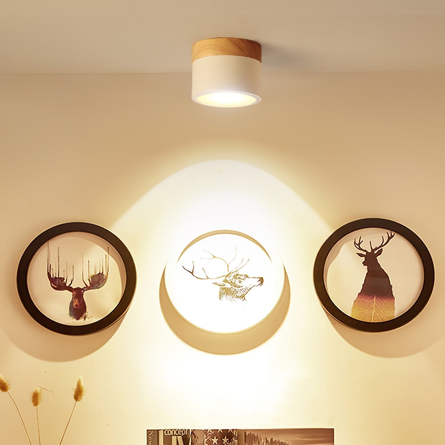 DirectLuxe - Ceiling Spotlight with Minimalist Style and Accurate Lighting
