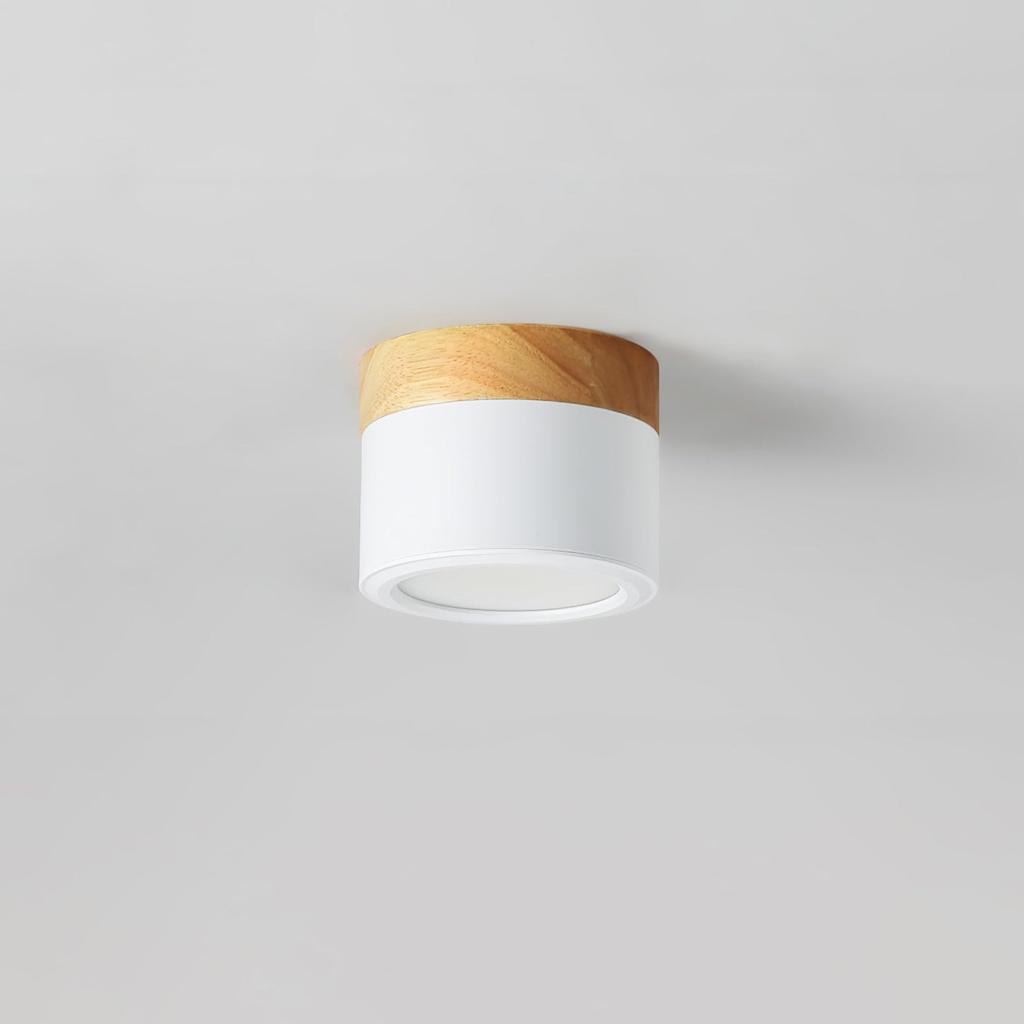 DirectLuxe - Ceiling Spotlight with Minimalist Style and Accurate Lighting