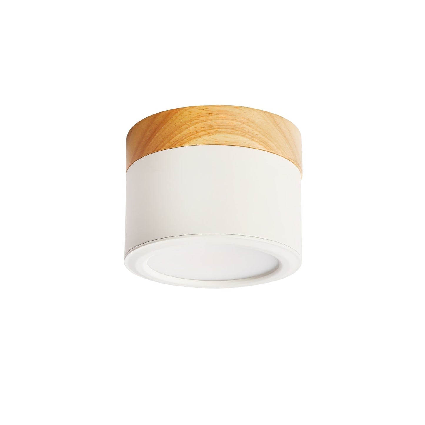 DirectLuxe - Ceiling Spotlight with Minimalist Style and Accurate Lighting