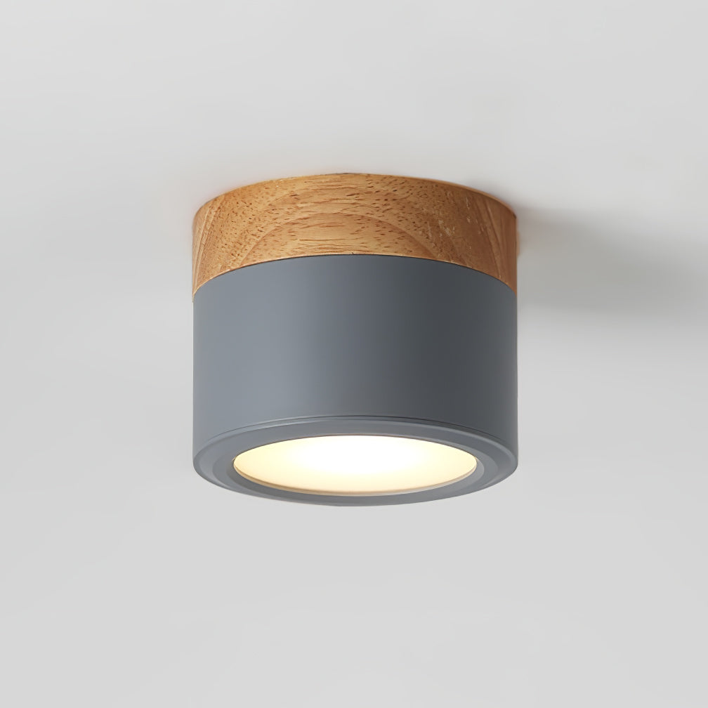 DirectLuxe - Ceiling Spotlight with Minimalist Style and Accurate Lighting