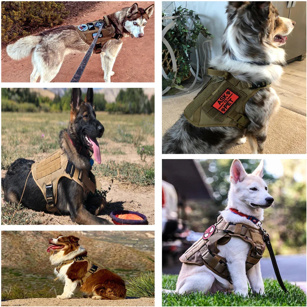Guardpaw Tactical Dog Harness with Handle - Durable, Adjustable, Leash Set-6