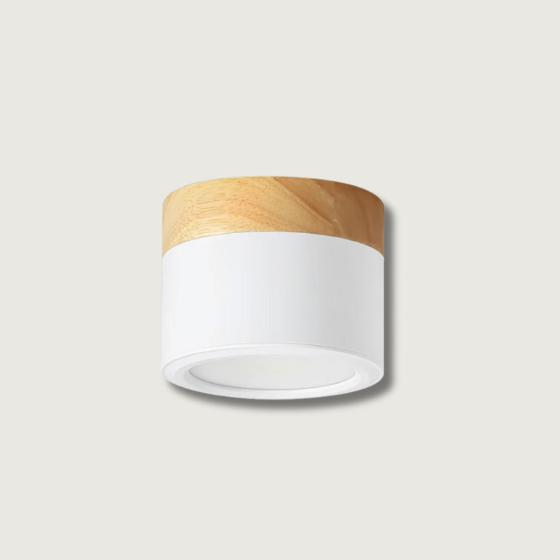 DirectLuxe - Ceiling Spotlight with Minimalist Style and Accurate Lighting