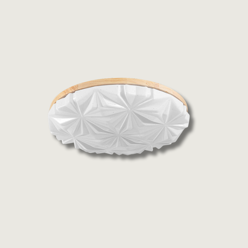 VennerAura - Stylish Ceiling Fixture