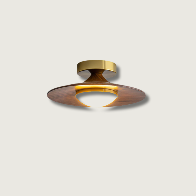OlavShine - Modern Ceiling Fixture