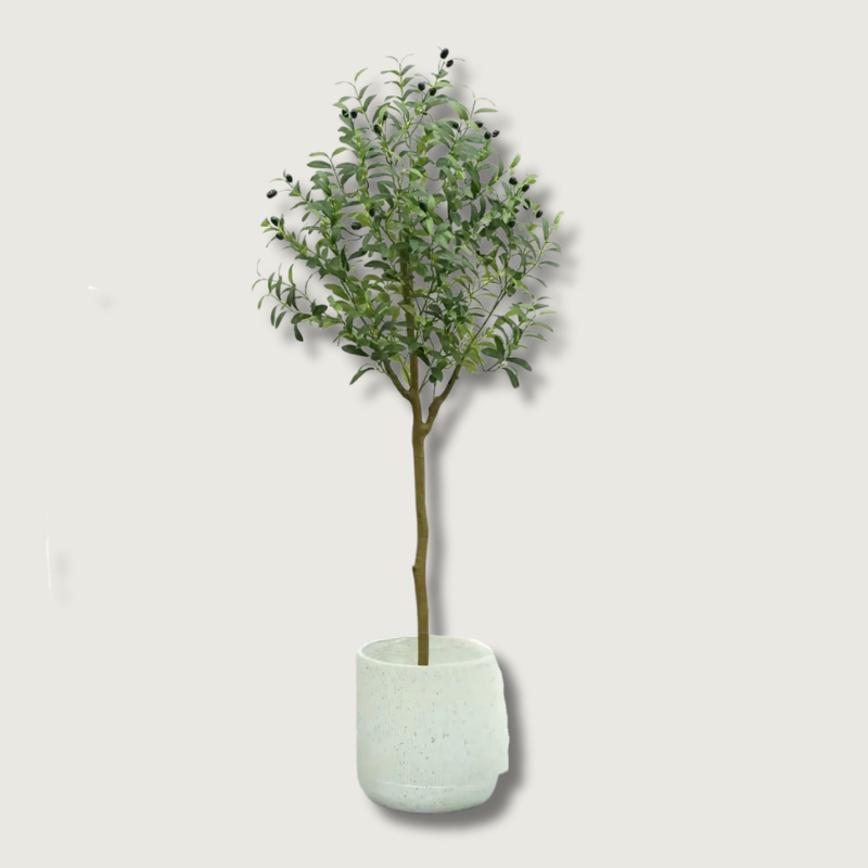OlivaLeaf - Lifelike Olive Tree Decoration