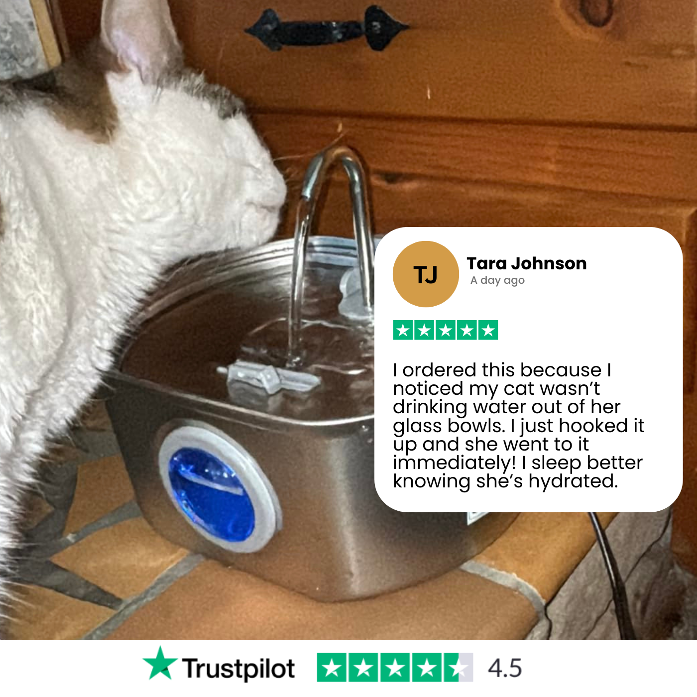 Stainless Steel Water Fountain