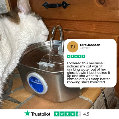 Stainless Steel Water Fountain