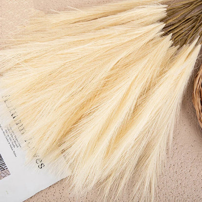 BloomFuzz - Lush Pampas Flower Decor