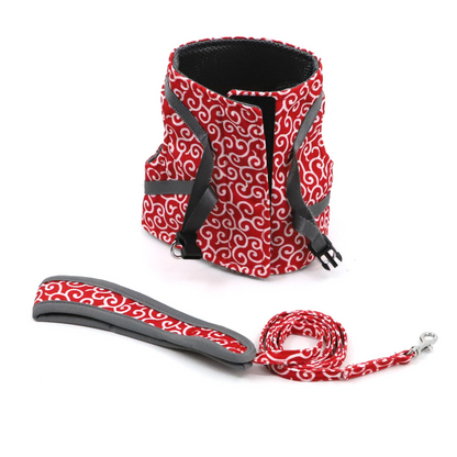Stylish Cat Harness with Matching Leash - Comfortable and Easy to Wear, Adjustable Fit for Cats and Kittens-4