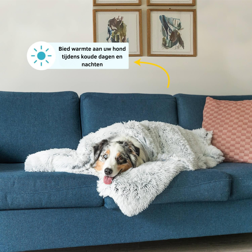 Luxury Calming Dog Blanket – Soft, Animal-Friendly Fabric for Improved Sleep and Comfort, Machine Washable, Multiple Sizes Available-3