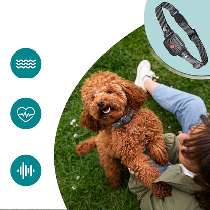 Quietpaw - Adjustable Anti Bark Collar for Dogs - Humane Bark Control Device-4