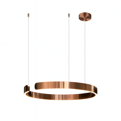 Aesthetics Ring Pendant Lamp 10