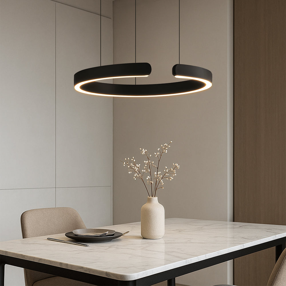 Aesthetics Ring Pendant Lamp 7
