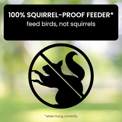 AviaryGuard | Durable Squirrel-Proof Hanging Bird Feeder 3