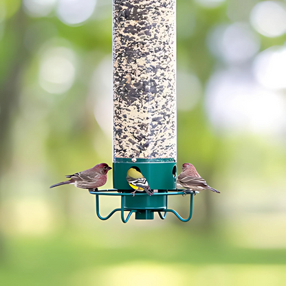 AviaryGuard | Innovative Squirrel-Proof Metal Birdhouse Design 1