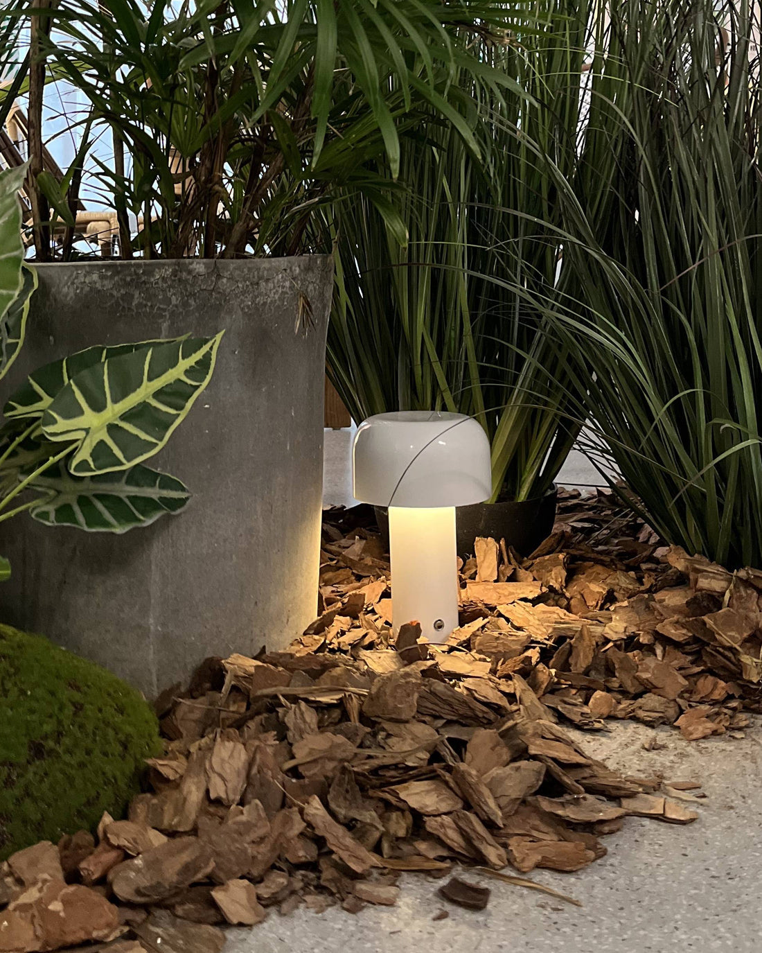 EcoGlow – Lampada da Tavolo LED Ricaricabile con Design Portatile
