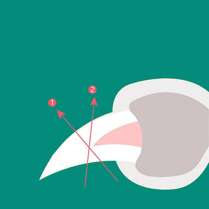 ClawGuard | Safe Ergonomic Stainless Steel Dog Nail Clipper with Quick Sensor 4