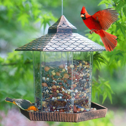 CopperNest | Elegant Durable Hanging Bird Feeder with Clear Seed Container 3