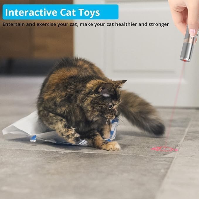 FelineBeam | Interactive Rechargeable Stainless Steel Cat Laser Toy 2