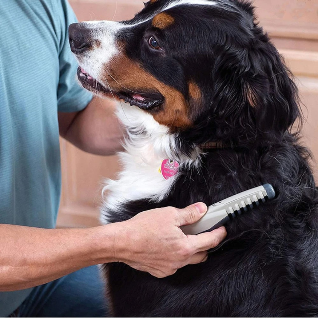 FurGems | Gentle Efficient Dog Grooming Clippers for Tangle-Free Coats 1