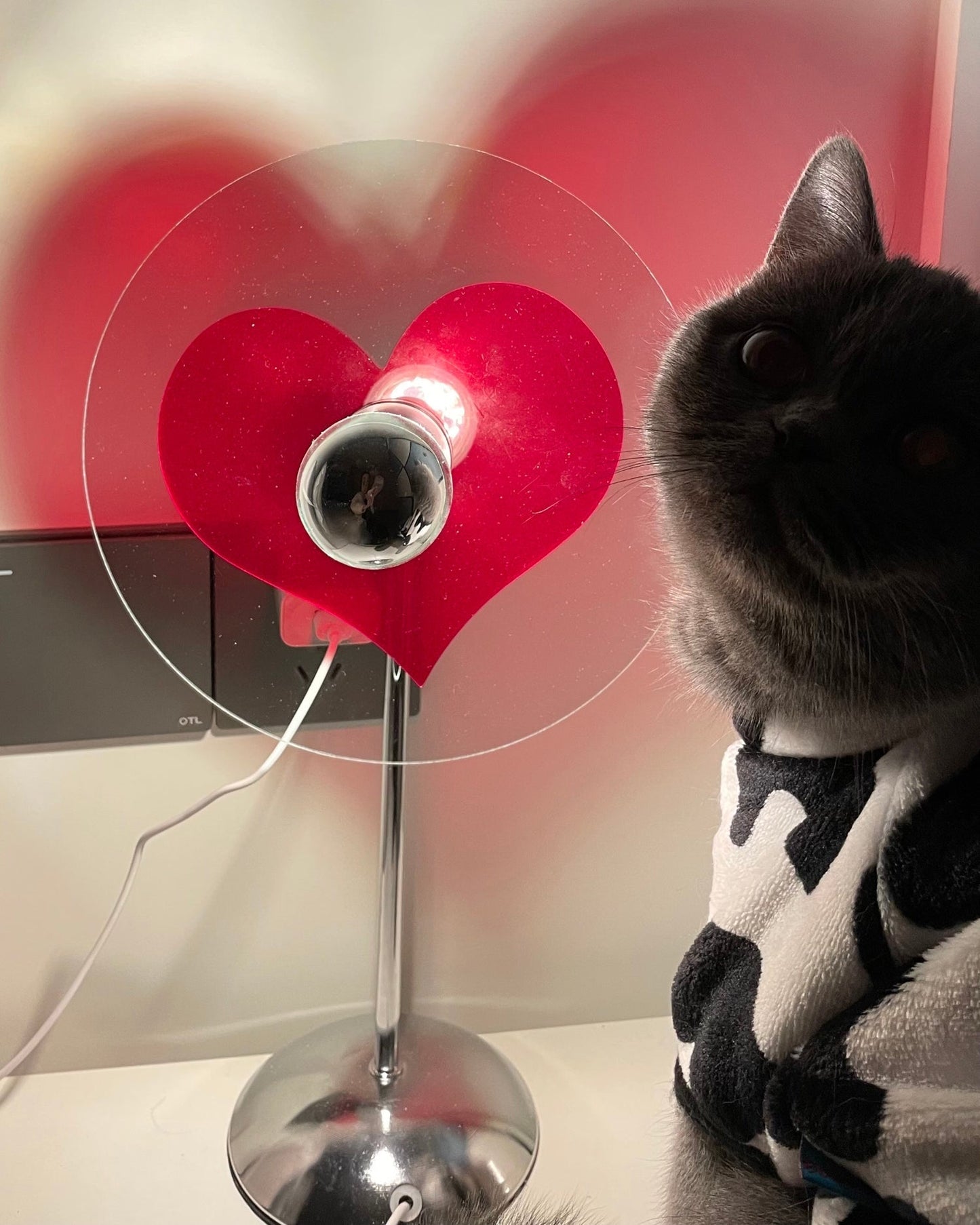 LoveGlow – Lampada da Tavolo Elegante con LED Ricaricabile