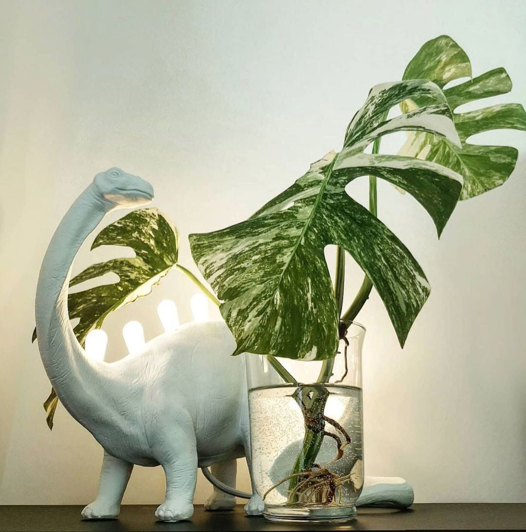 DinoLite - Lampada da Tavolo Creativa con Schiena Illuminata