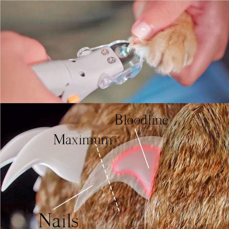 Luminex | Safe Precision LED Dog Nail Clippers with 5x Magnification 3