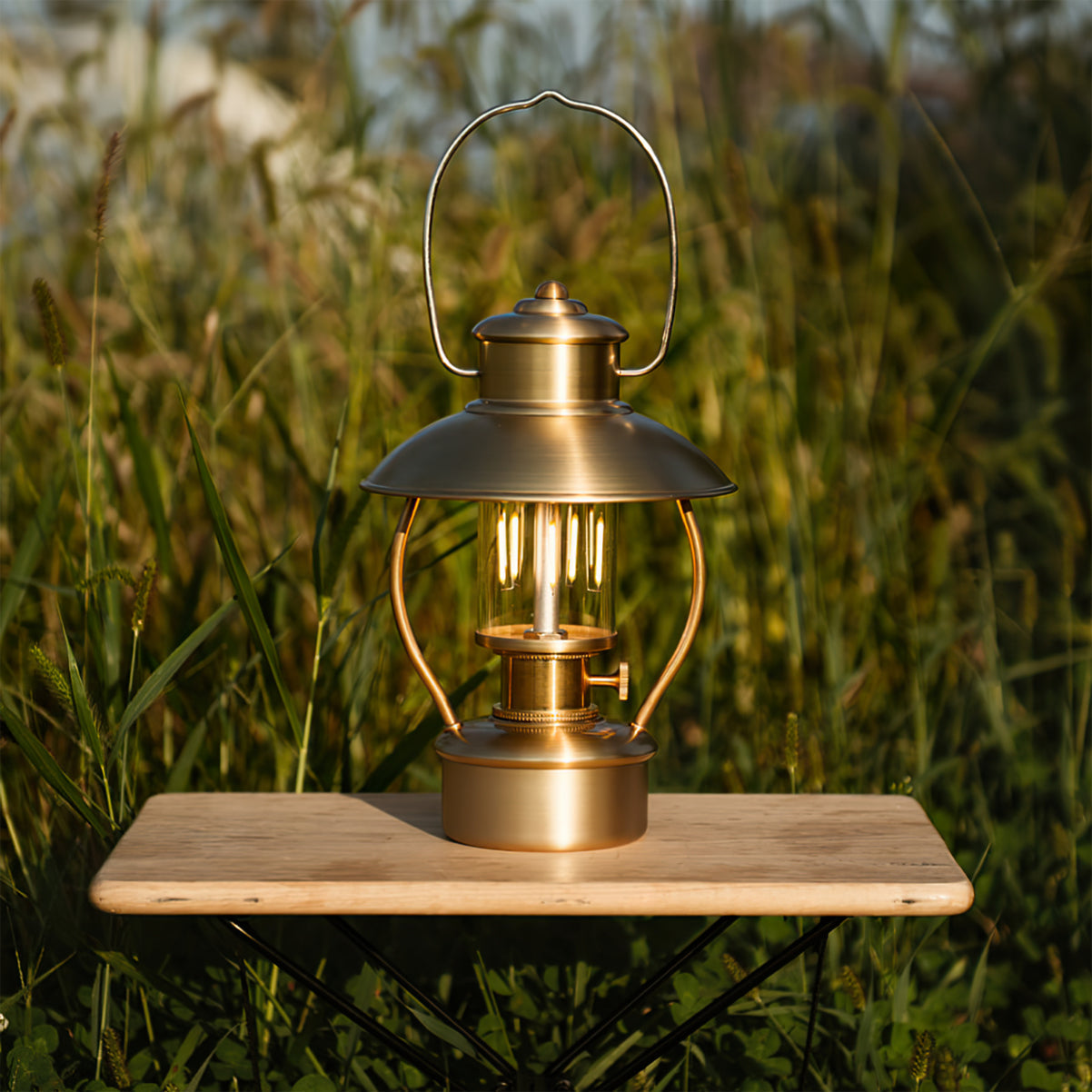 VividRadiance - Garden Lamp
