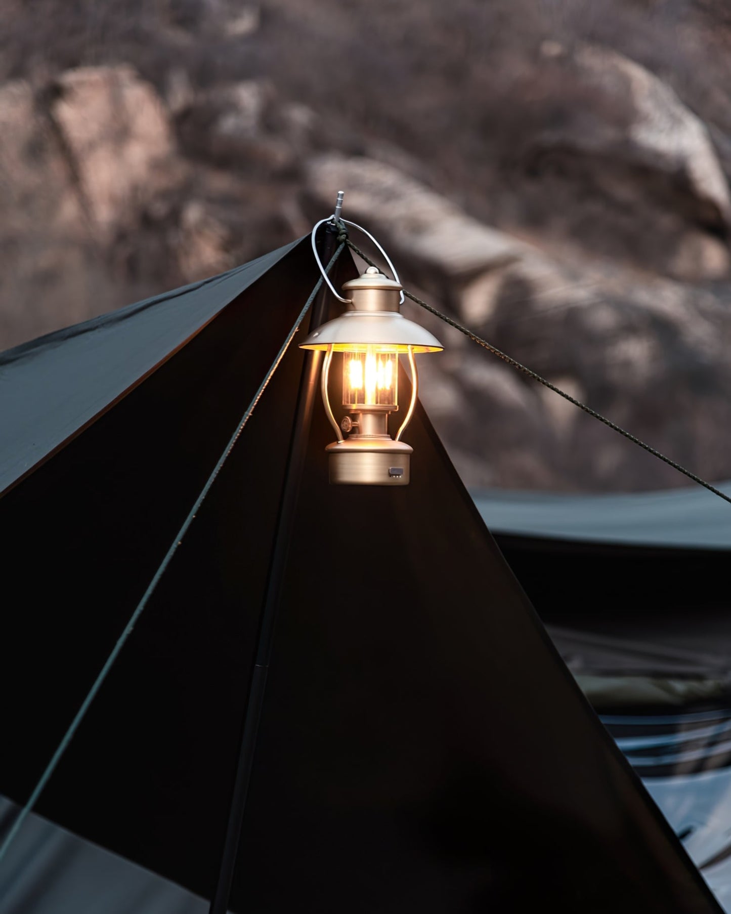 VividRadiance - Garden Lamp
