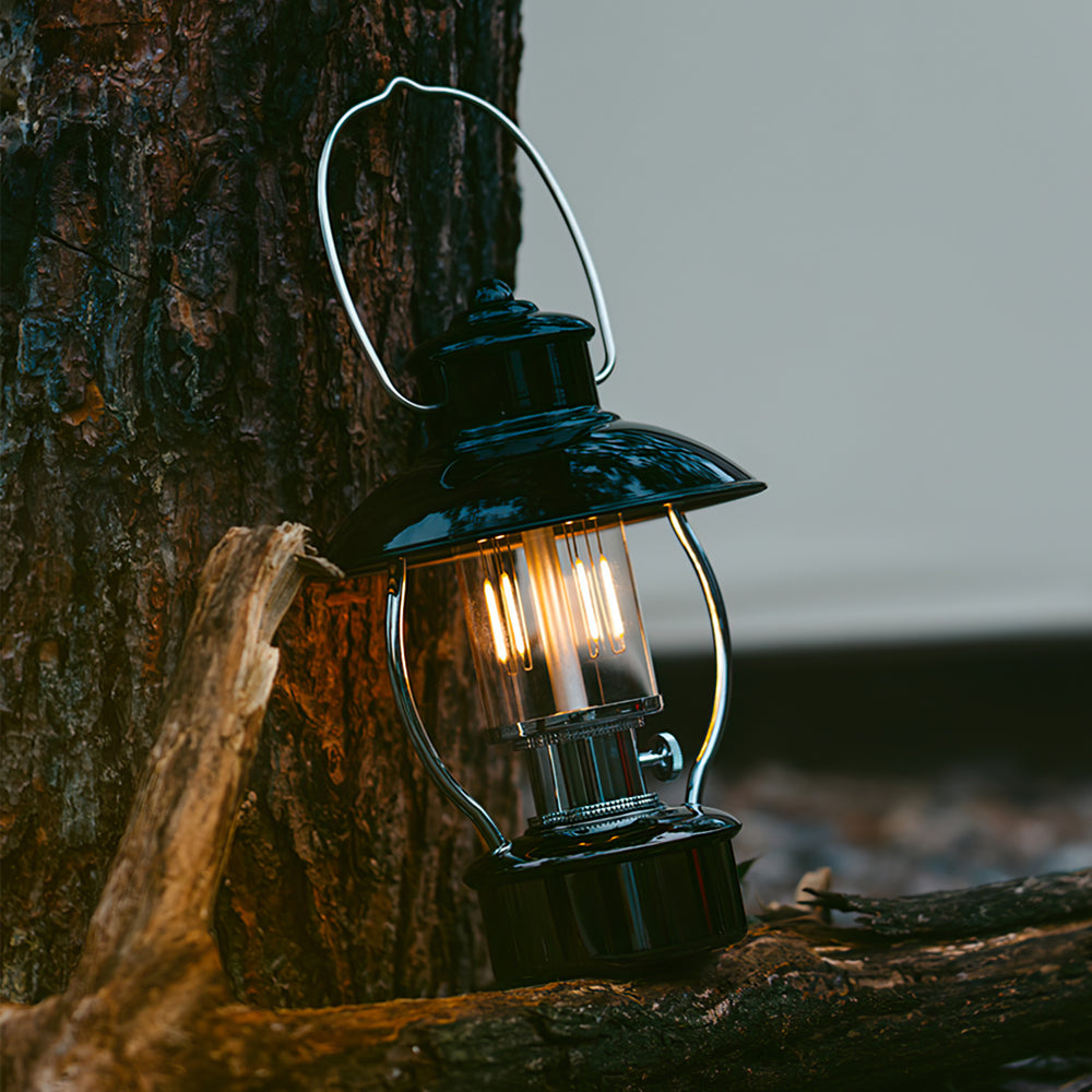 VividRadiance - Garden Lamp
