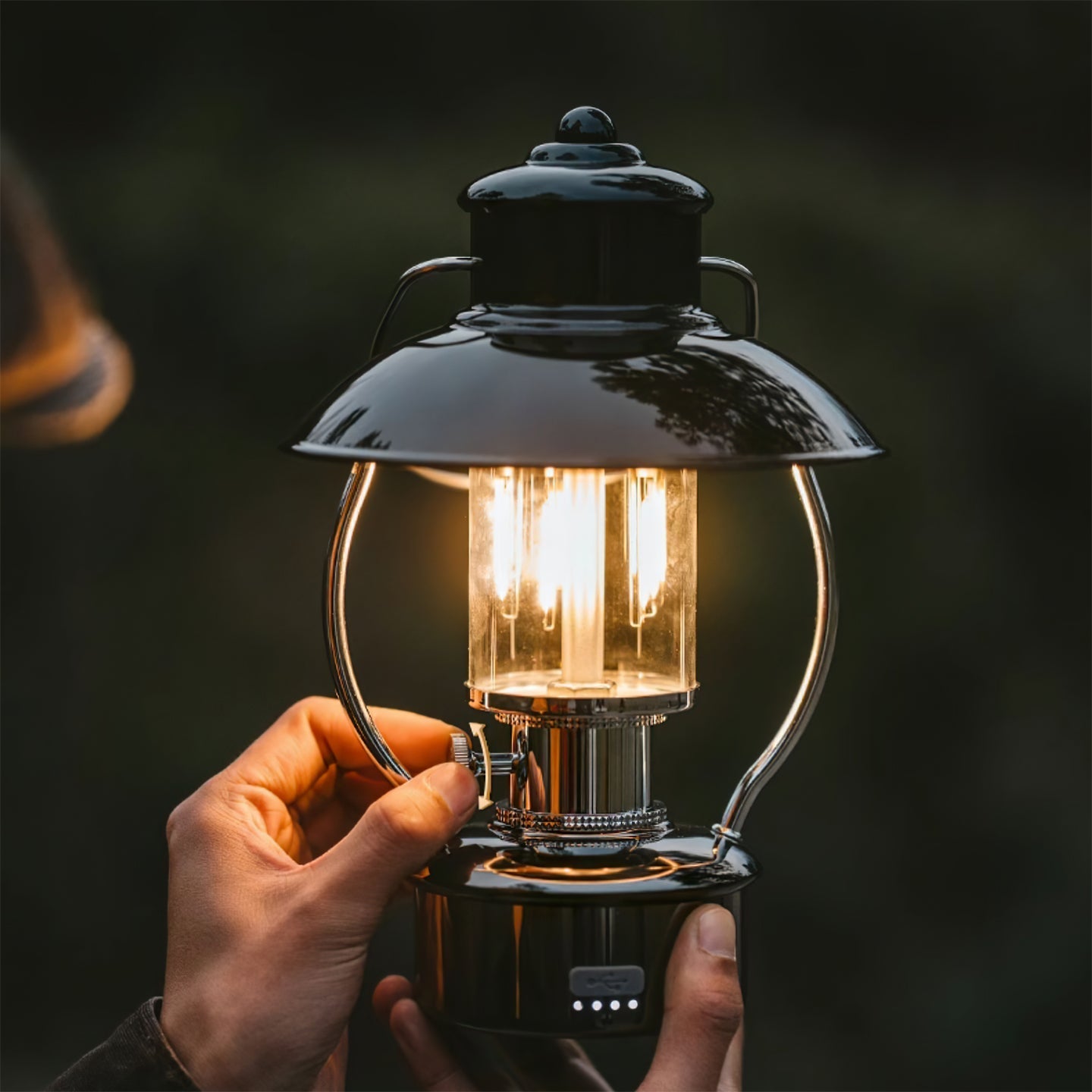 VividRadiance - Garden Lamp