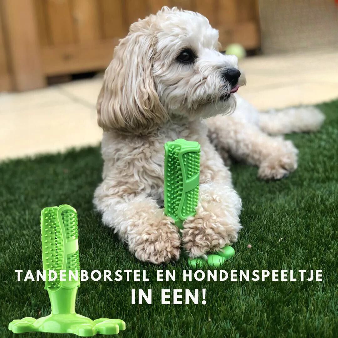 https://cdn.shopify.com/s/files/1/0823/9294/0885/files/Ontwerpzondertitel_2_a044d799-0f7d-47ec-9a0c-f5d885da9e9c.png?v=1701377711