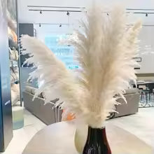 PampasElegance | Stylish Natural Dried Flower Bouquet for Home Décor 0