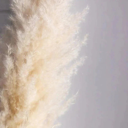 PampasElegance | Stylish Natural Dried Flower Bouquet for Home Décor 3