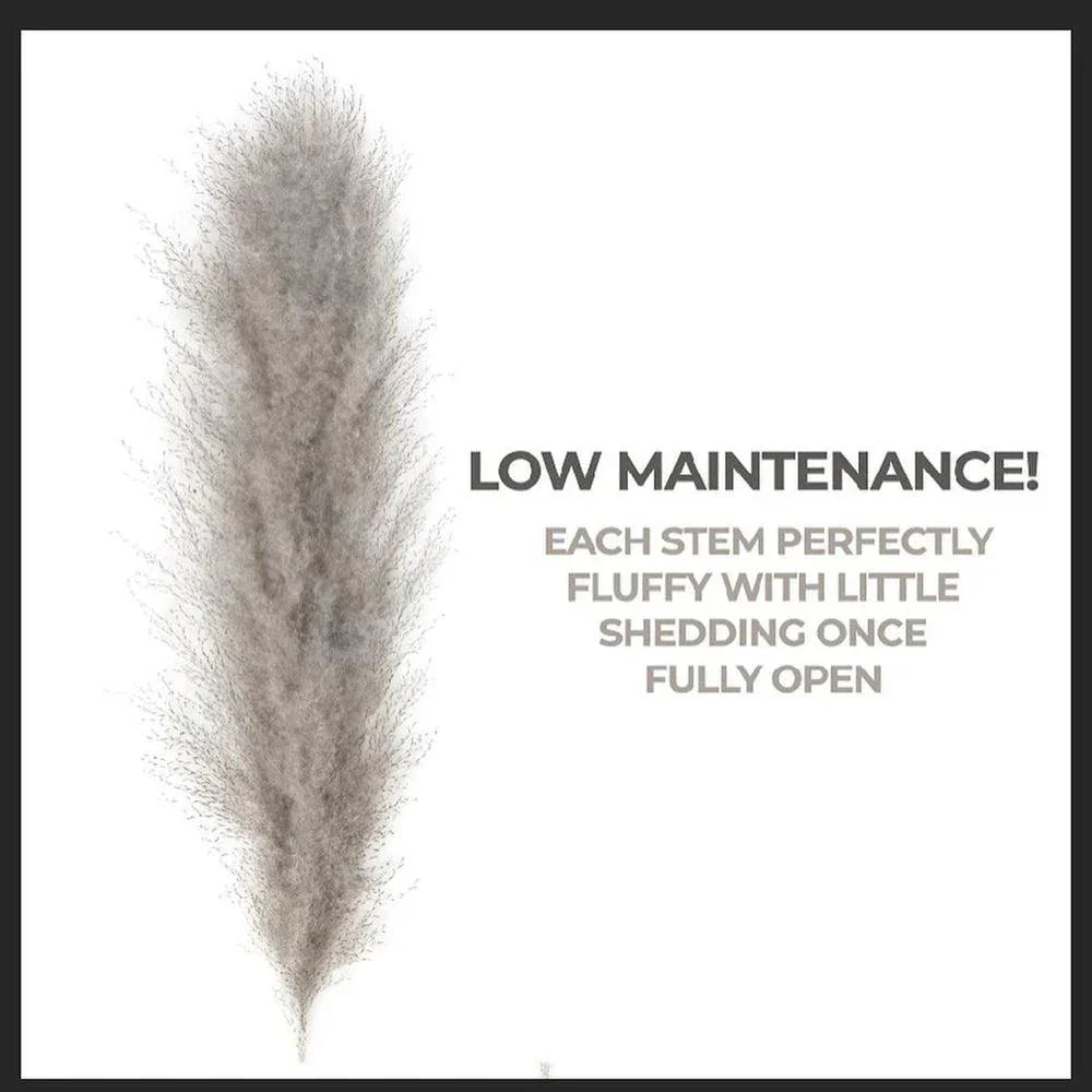 PampasElegance | Stylish Natural Dried Flower Bouquet for Home Décor 5