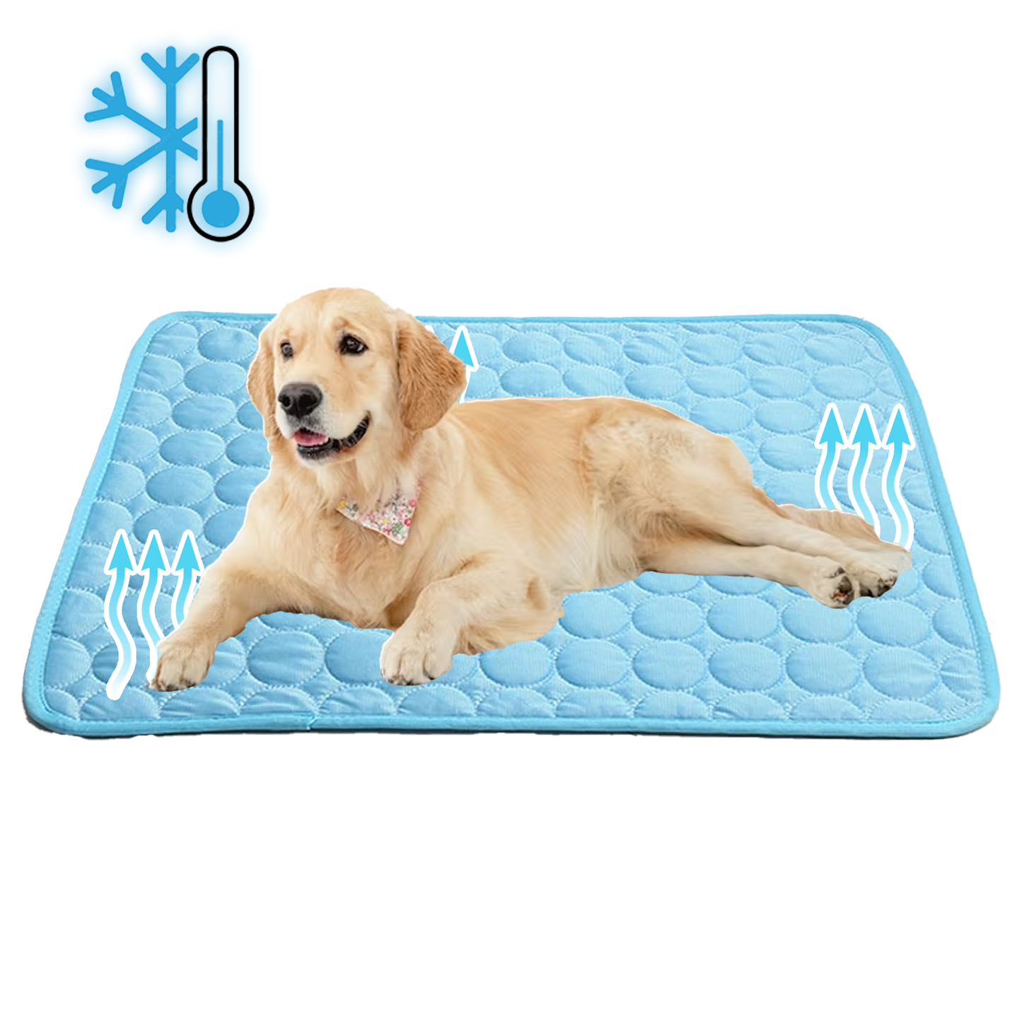Pet Cooling Mat 1