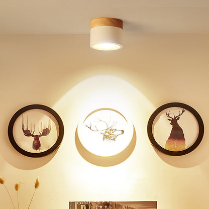 DirectLuxe - Ceiling Spotlight with Minimalist Style and Accurate Lighting