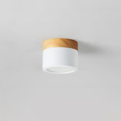 DirectLuxe - Ceiling Spotlight with Minimalist Style and Accurate Lighting