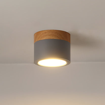 DirectLuxe - Ceiling Spotlight with Minimalist Style and Accurate Lighting